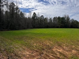 29663702