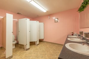 29664868