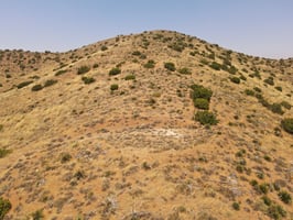 33949774