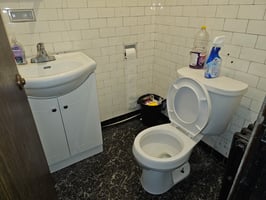 29667753