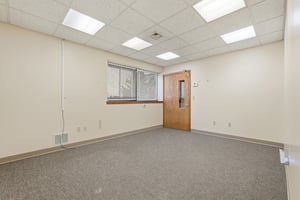 29667604