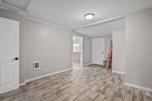 29667806