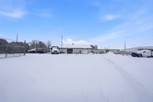 29667007