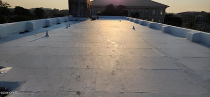 29668146