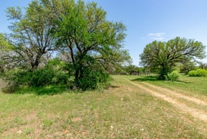 29673824