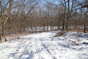 29673760