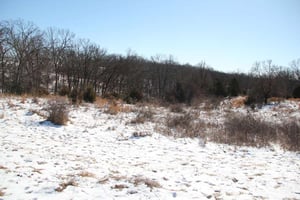 29673744