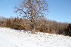 29673757