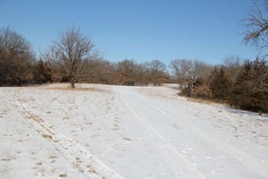 29673758