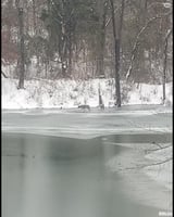 29675778