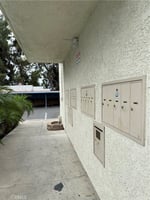 29677549