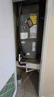 29681239