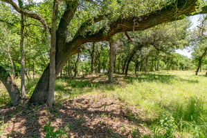 34054192