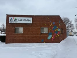 29683411