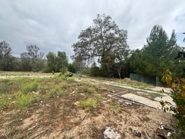 33683421