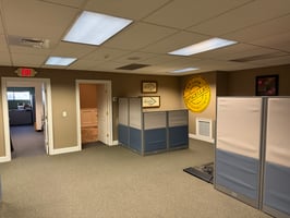 29685658