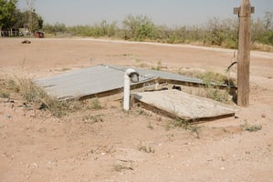 29686241