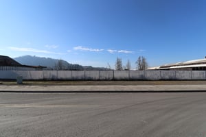 29689651