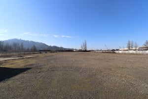 29689653
