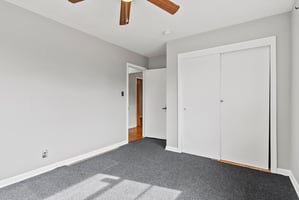 29690420