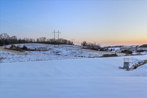 29690767