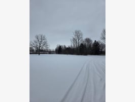 29704533