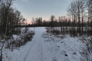 29704818