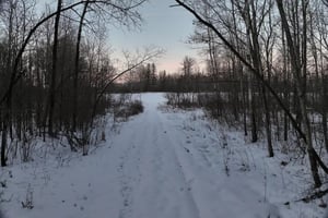 29704838