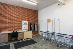 29707620