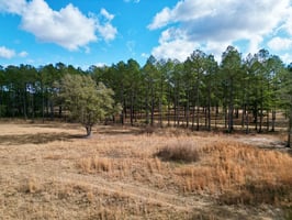29708019