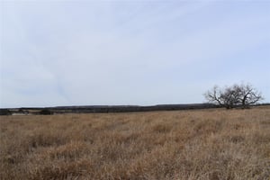 29709450