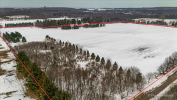 29717835