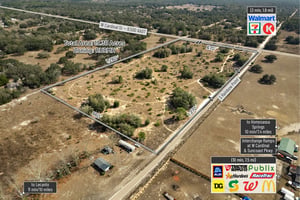 29981031