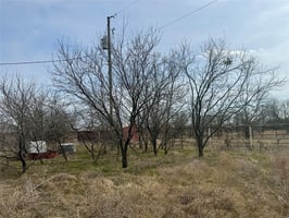 29732337