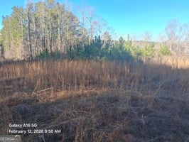 29732784