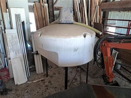 32281556