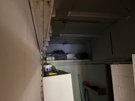 29749947