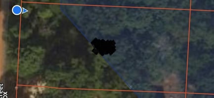 29765268