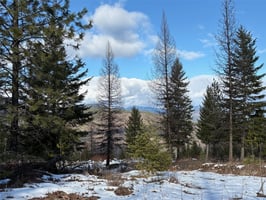 29766846