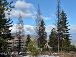 29766847