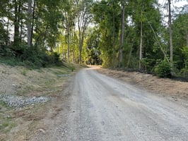29767286