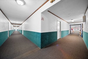 31635784