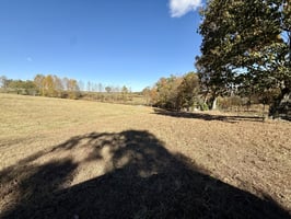 33996811