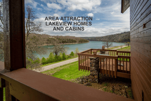 29769612