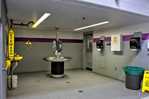 29771632