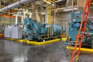 29771631