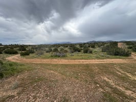 29774487