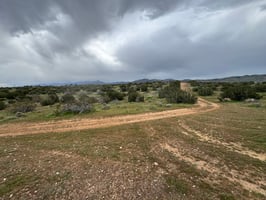 29774486