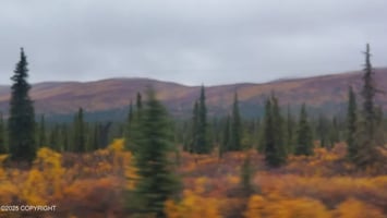 29775765