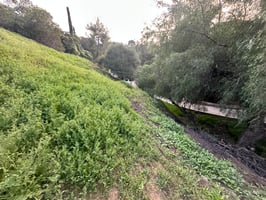 29776576